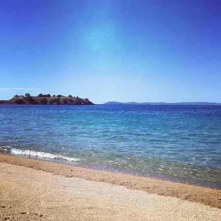 Sofia' S House توروني