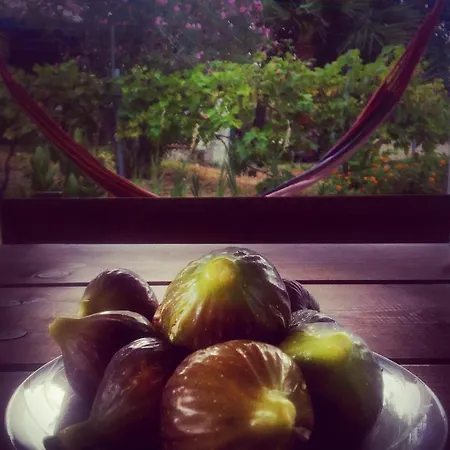 منزل ريفي Sofia' S House