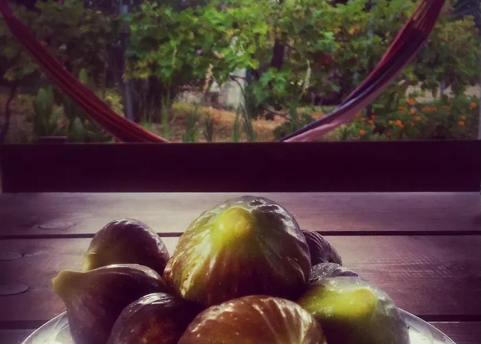 Casa di campagna Sofia' S House